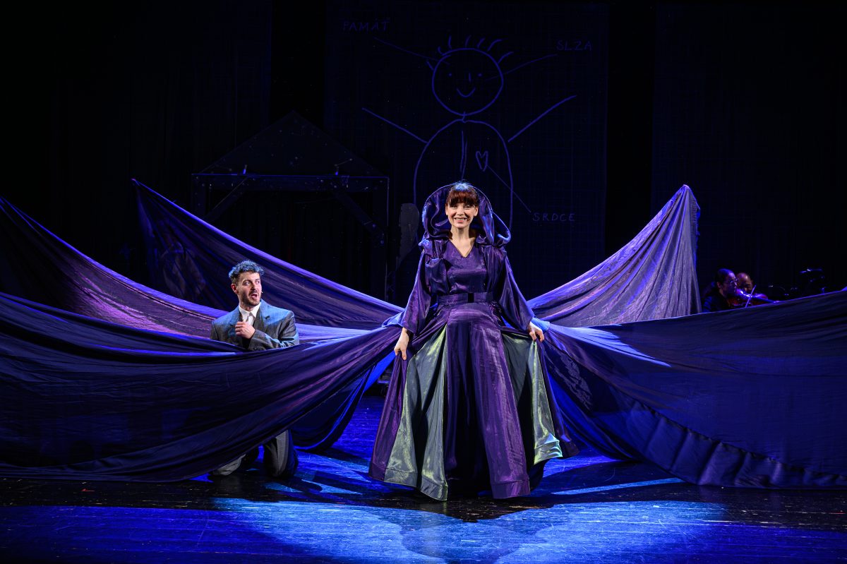 picture AKO SOM VSTÚPIL DO SEBA