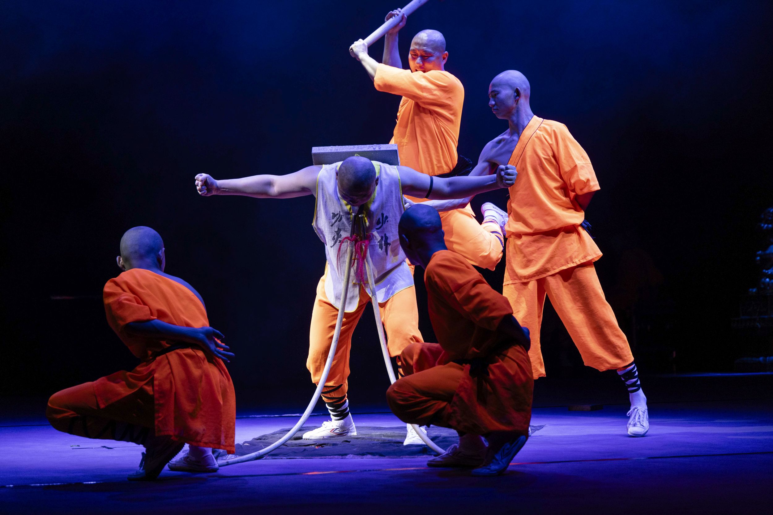 picture Shaolin Show 2025