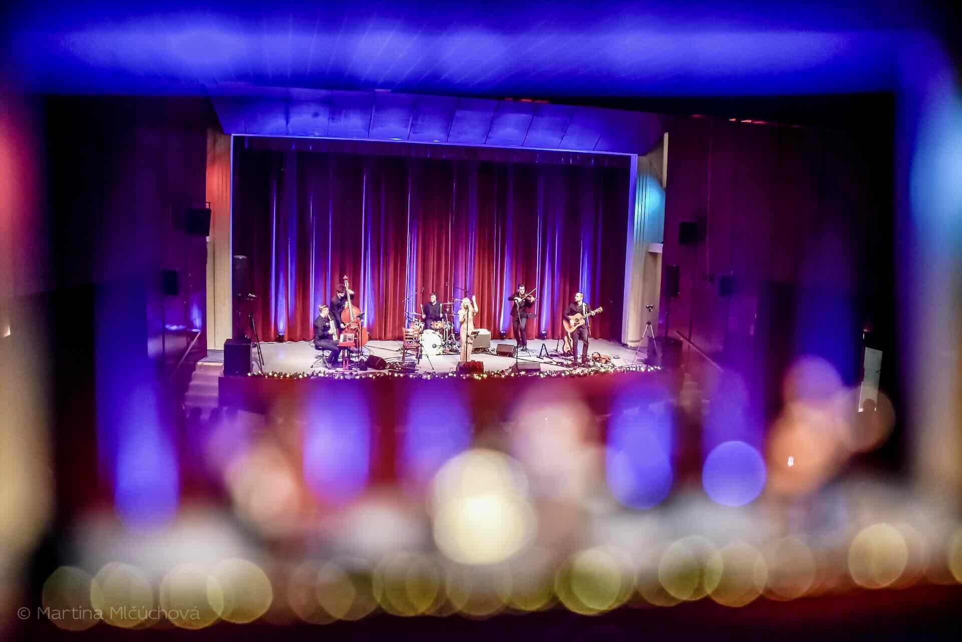 picture VIANOČNÁ JANAIS 2025