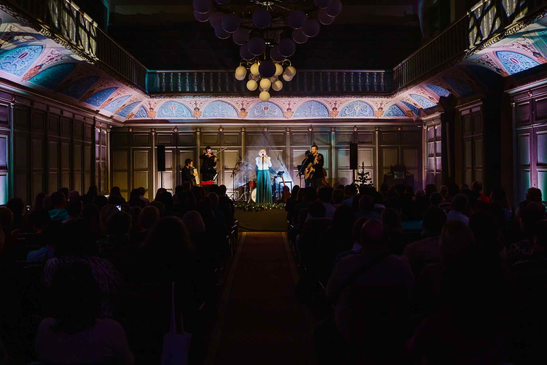 picture VIANOČNÁ JANAIS 2025