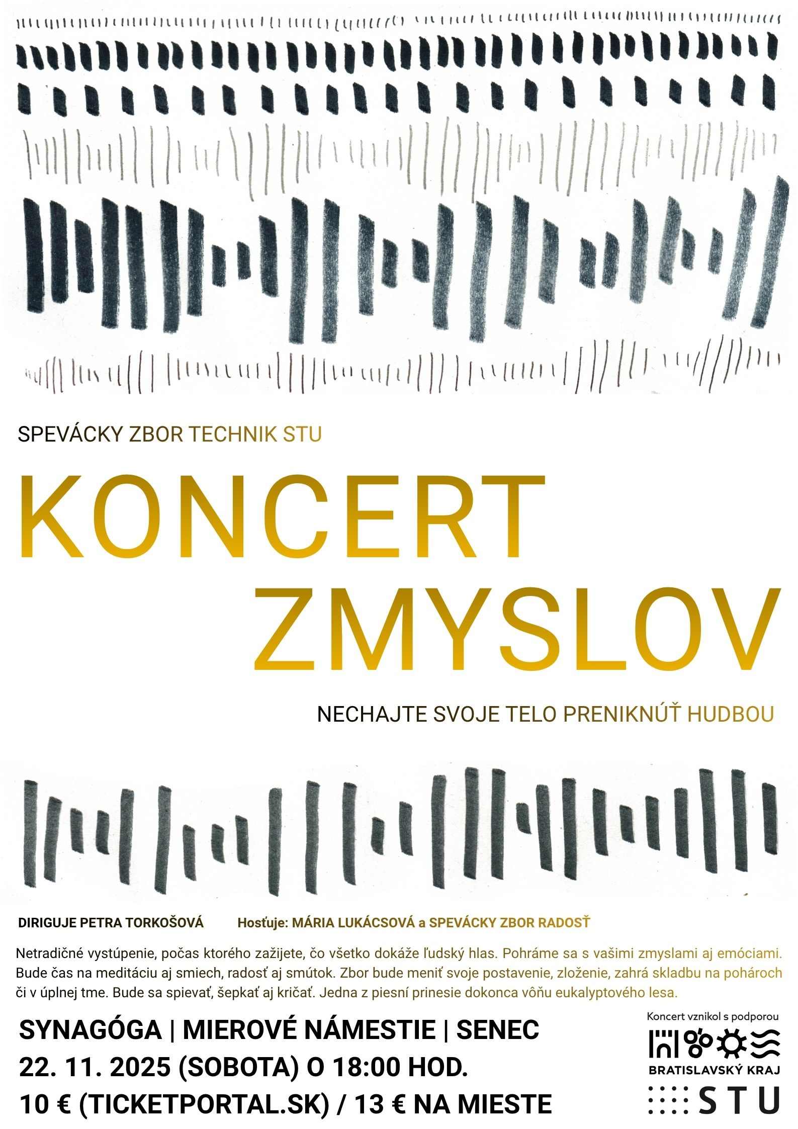 picture Koncert zmyslov Senec - nechajte svoje telo preniknúť hudbou