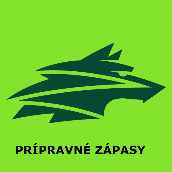VLCI ŽILINA PRÍPRAVNÉ ZÁPASY