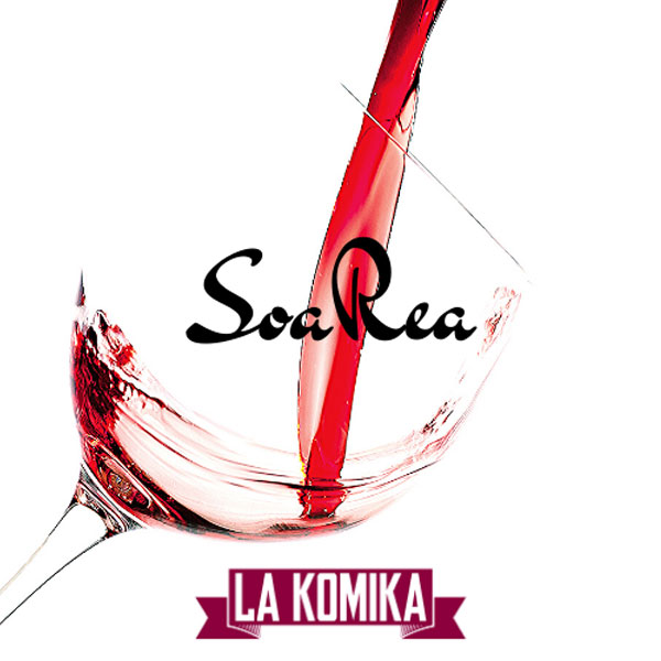 SOLIDÁRNA VSTUPENKA: talkshow SoaRea