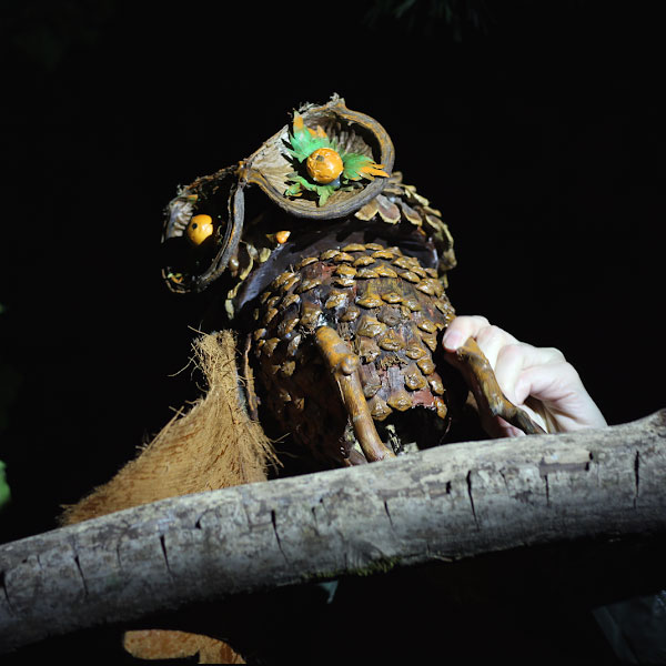 Záhrada nikdy nespí