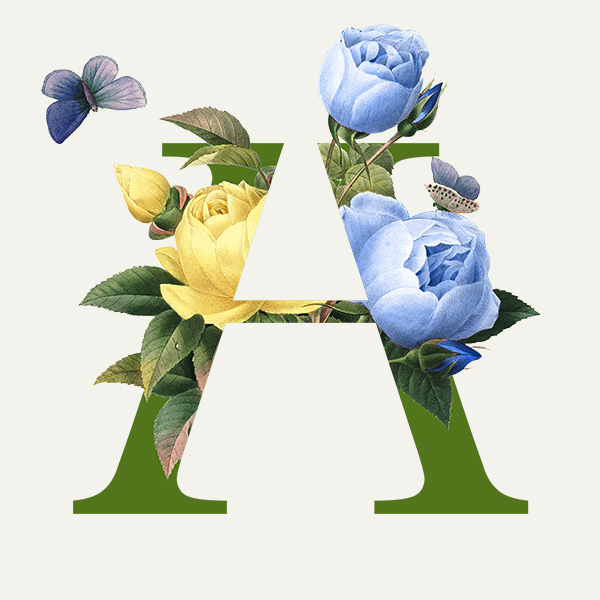 HORTUS ARTIS 2022 / PROMETEUS