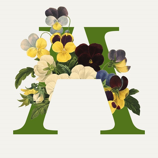 HORTUS ARTIS 2023 / SAX PLUS 4