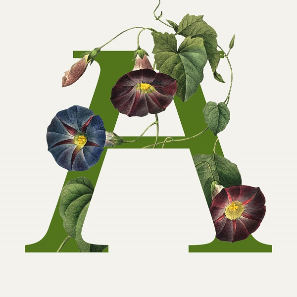 HORTUS ARTIS 2024 / ZNOVU OBJAVENÉ