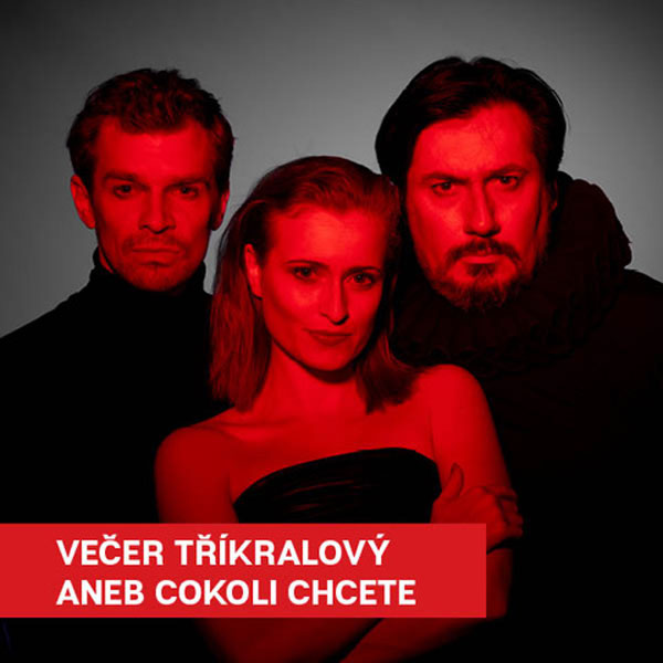 VEČER TŘÍKRÁLOVÝ ANEB COKOLI CHCETE - LSS 2025