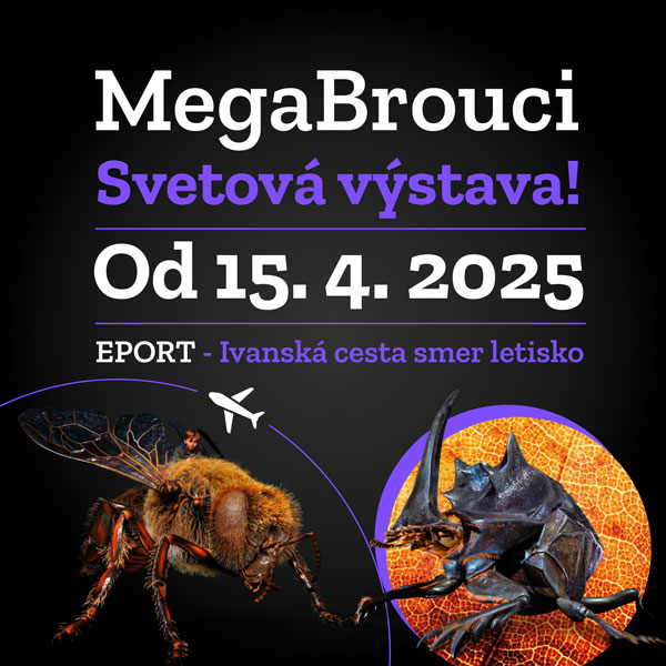 MEGABROUCI - Svetová výstava!