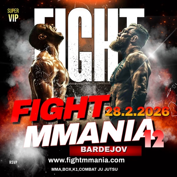 FIGHTMMANIA 12