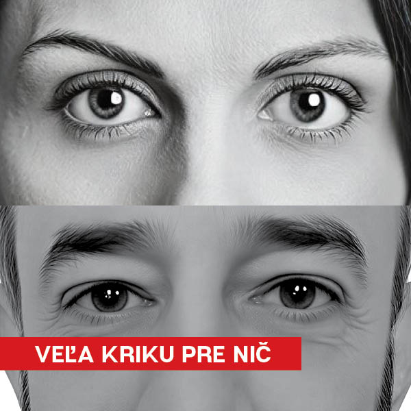 VEĽA KRIKU PRE NIČ - LSS 2026