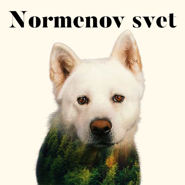 Normenov svet