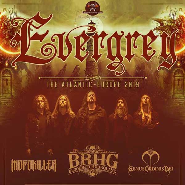 EVERGREY