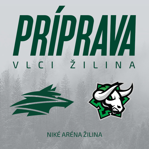 Príprava: VLCI Žilina vs HC Mikron Nové Zámky