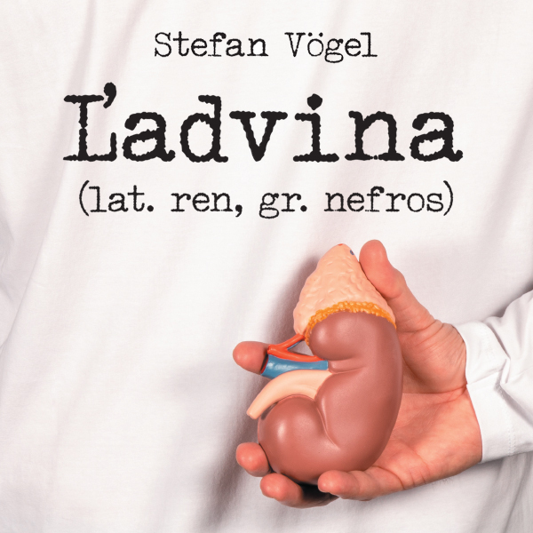 DIVADLA ARÉNA - ĽADVINA
