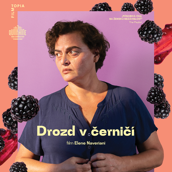 Ozveny svetových festivalov: DROZD V ČERNIČÍ