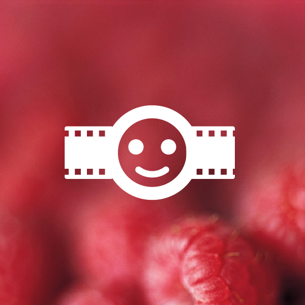 Adventný kalendár- Rozprávka o sláčikovom kvartete