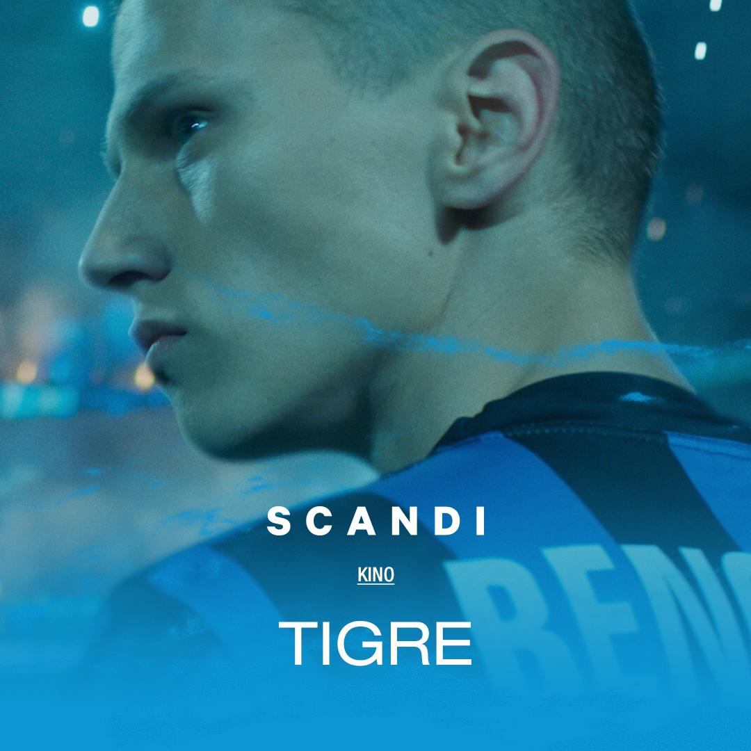SCANDI: TIGERS