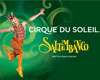 CIRQUE DU SOLEIL - SALTIMBANCO